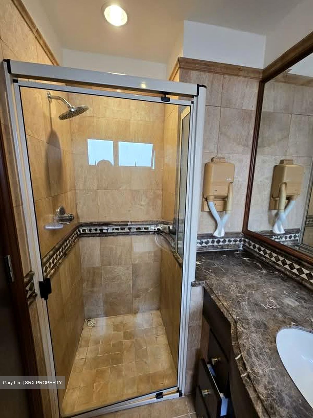 Dover Parkview (D5), Condominium #563741541